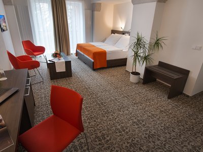 EA Business Hotel Jihlava**** - suite