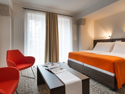 EA Business Hotel Jihlava**** - double room